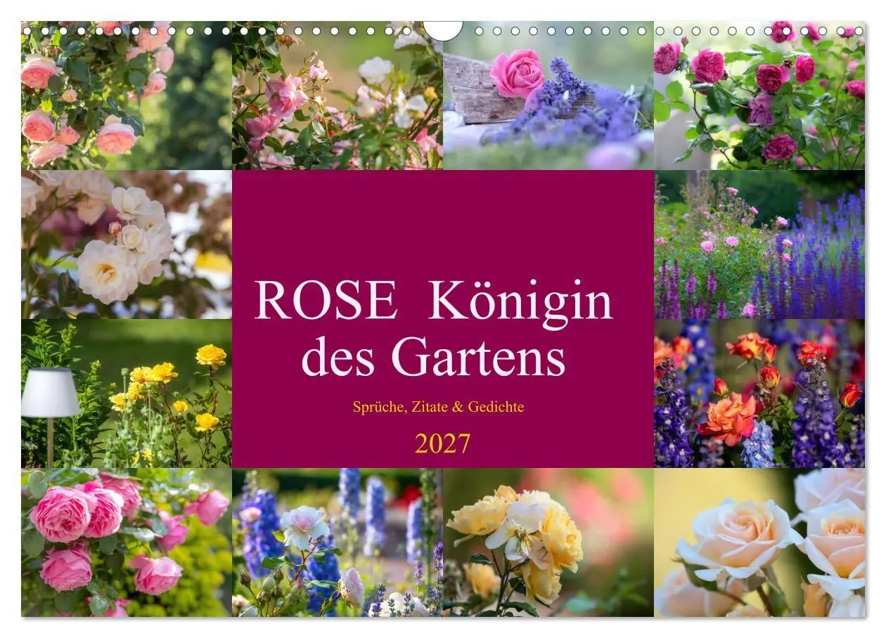 Cover: 9783569400603 | Rose Königin des Gartens (Wandkalender 2027 DIN A3 quer), CALVENDO...