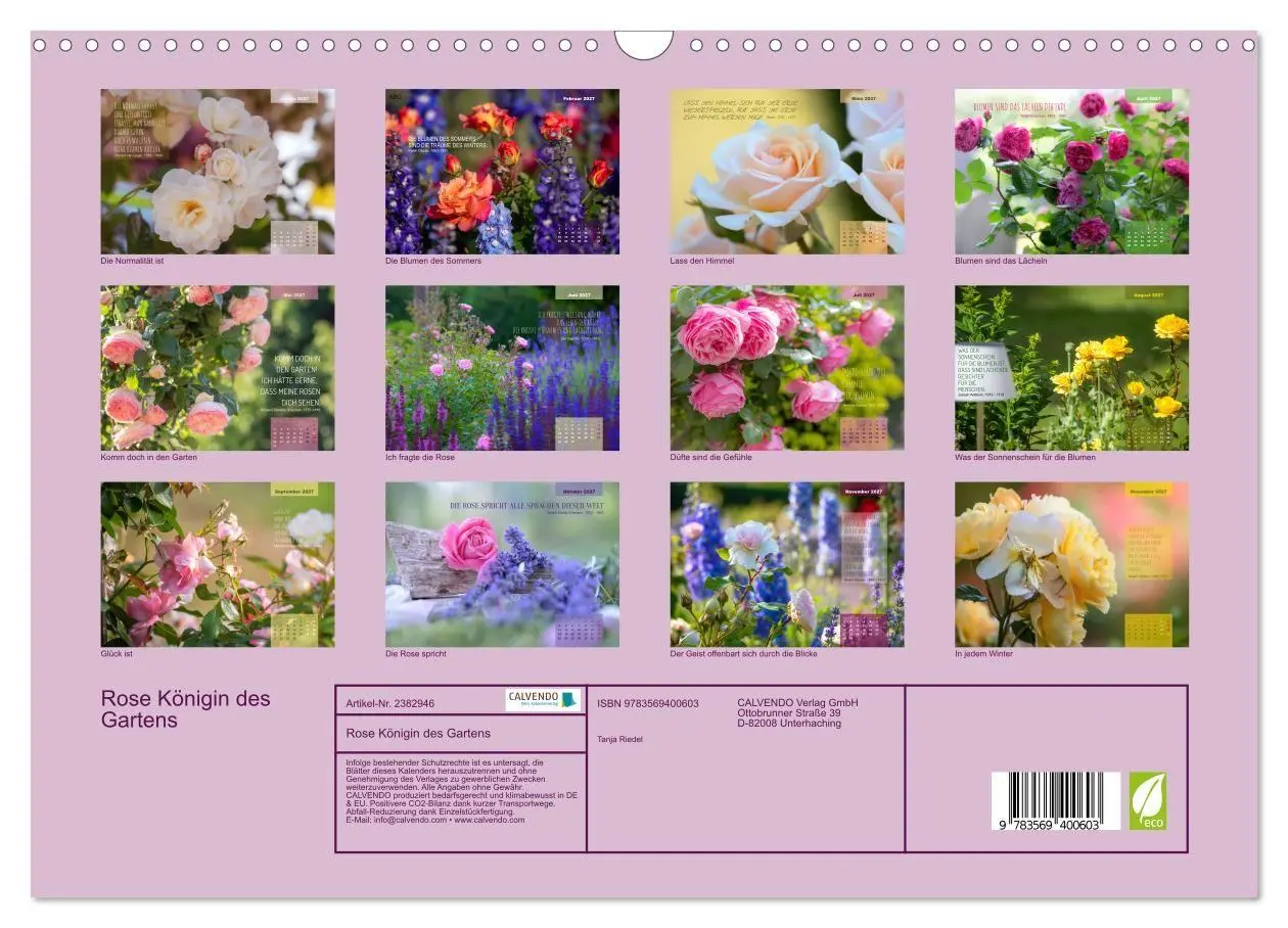 Bild: 9783569400603 | Rose Königin des Gartens (Wandkalender 2027 DIN A3 quer), CALVENDO...