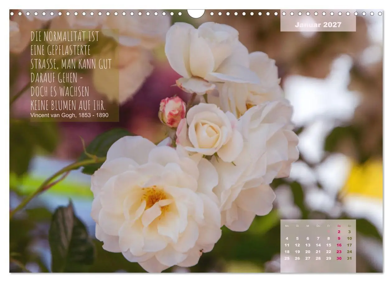 Bild: 9783569400603 | Rose Königin des Gartens (Wandkalender 2027 DIN A3 quer), CALVENDO...