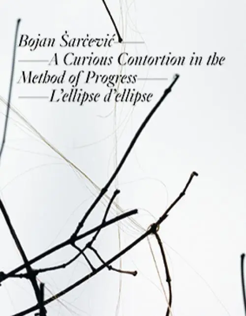 Cover: 9783864420603 | Bojan Sarcevic: A Curious Contortion in the Method of Progress...