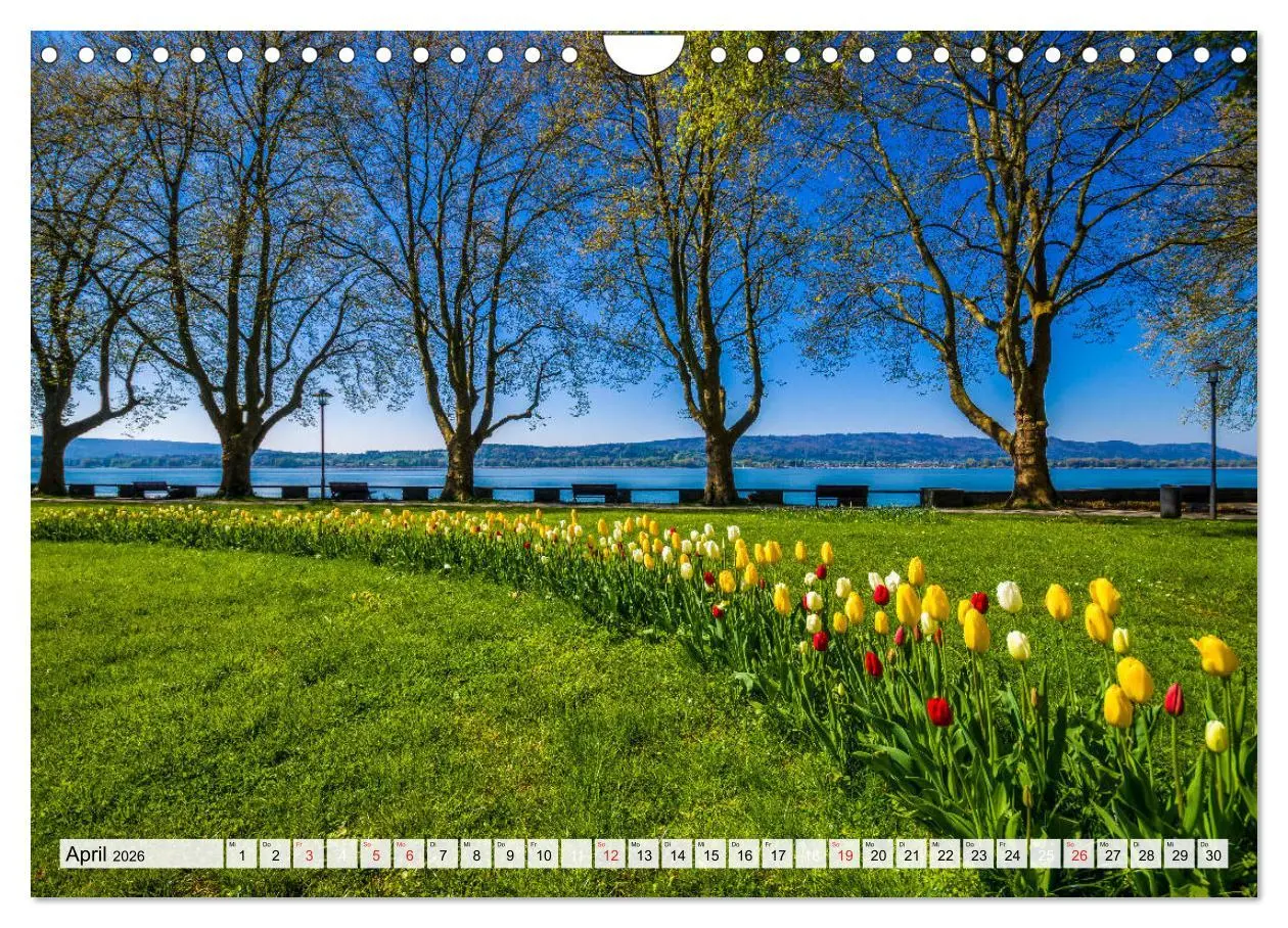 Bild: 9783457820803 | Auszeit Bodensee (Wandkalender 2026 DIN A4 quer), CALVENDO...