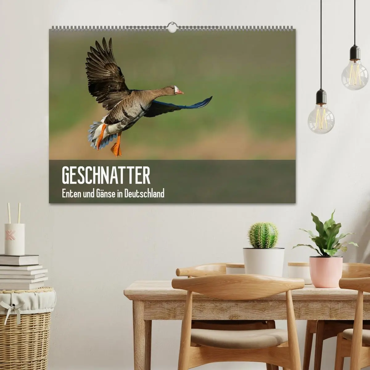 Bild: 9783516080803 | Geschnatter - Enten und Gänse in Deutschland (Wandkalender 2026 DIN...