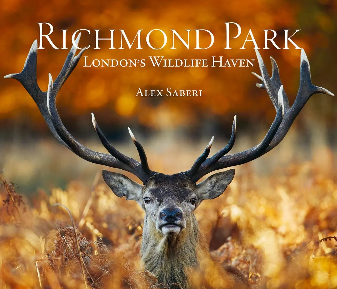 Cover: 9781788840903 | Richmond Park | London's Wildlife Haven | John Karter | Buch | 2021