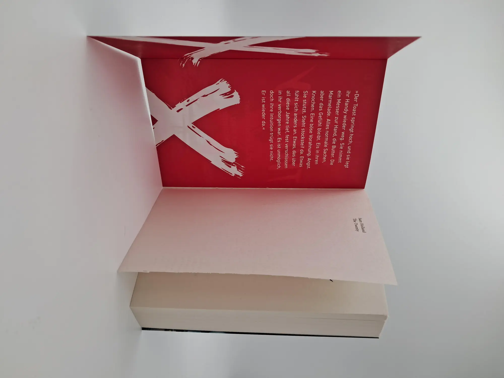 Bild: 9783423220903 | The Twenty | Sam Holland | Taschenbuch | Major Crimes Unit | 480 S.