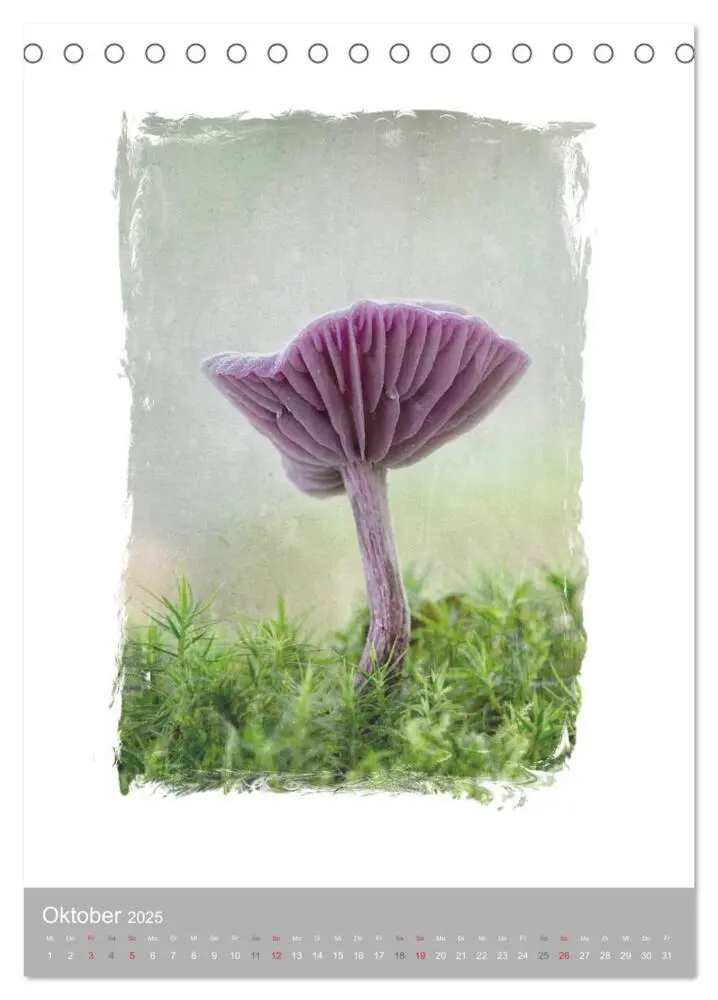 Bild: 9783457050903 | Kunstwerk Natur (Tischkalender 2025 DIN A5 hoch), CALVENDO...
