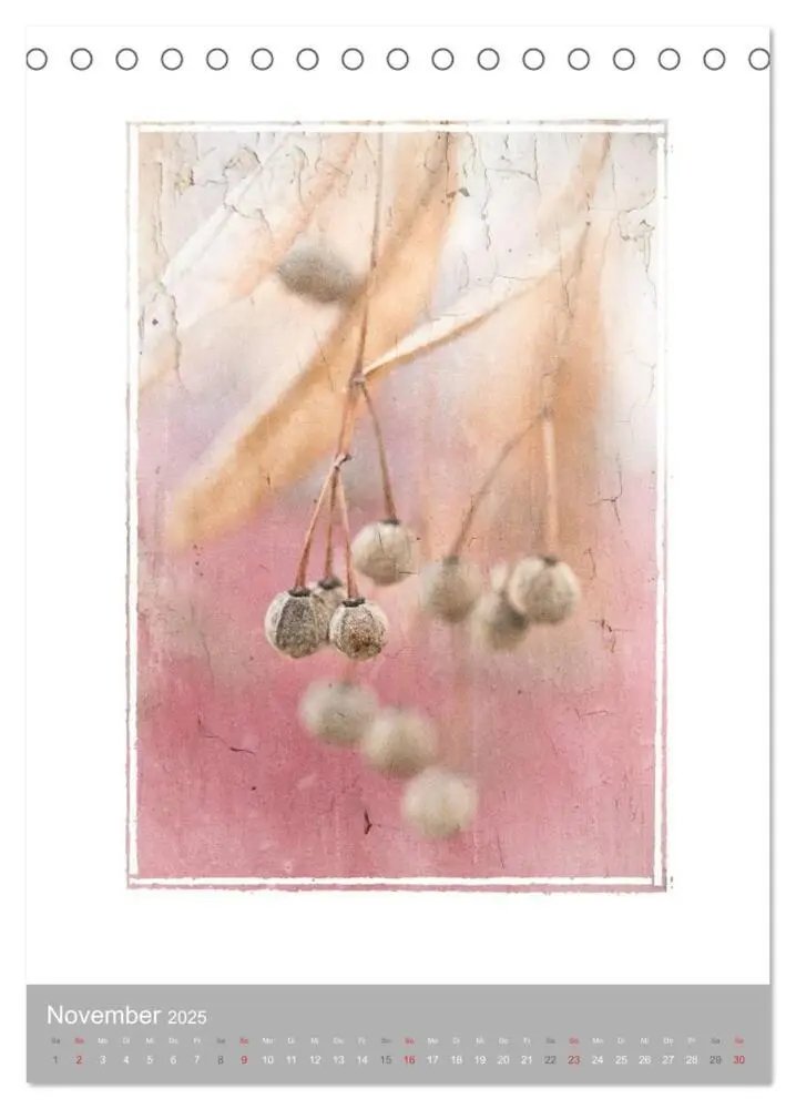 Bild: 9783457050903 | Kunstwerk Natur (Tischkalender 2025 DIN A5 hoch), CALVENDO...
