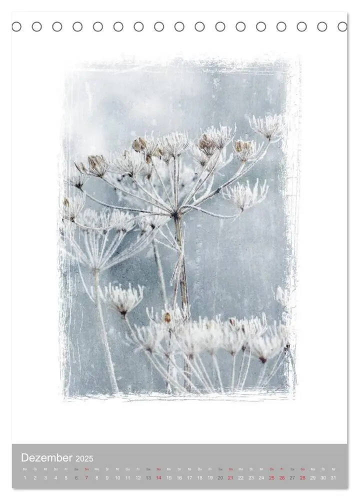 Bild: 9783457050903 | Kunstwerk Natur (Tischkalender 2025 DIN A5 hoch), CALVENDO...