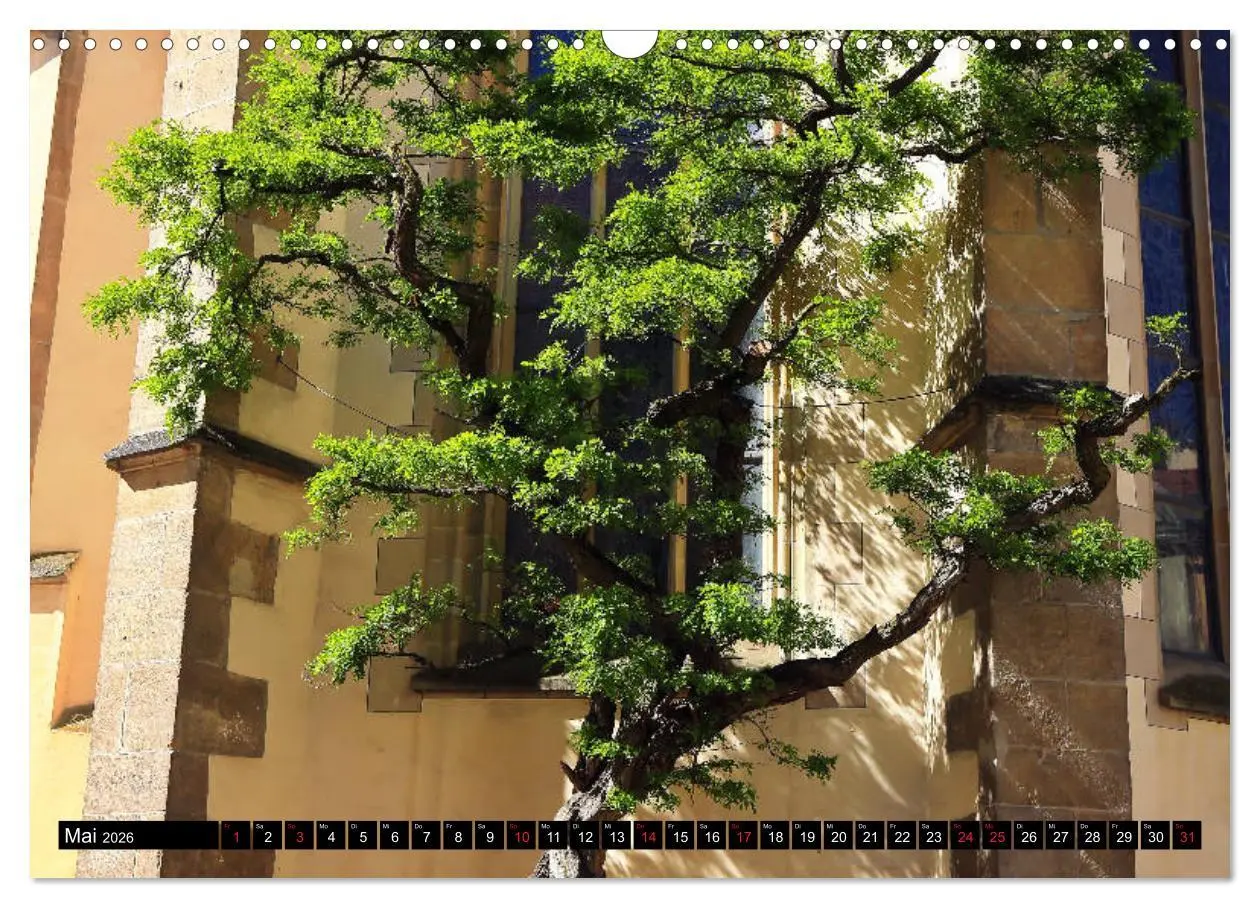 Bild: 9783457740903 | Rottenburg am Neckar - Eine Stadt am Limes (Wandkalender 2026 DIN...