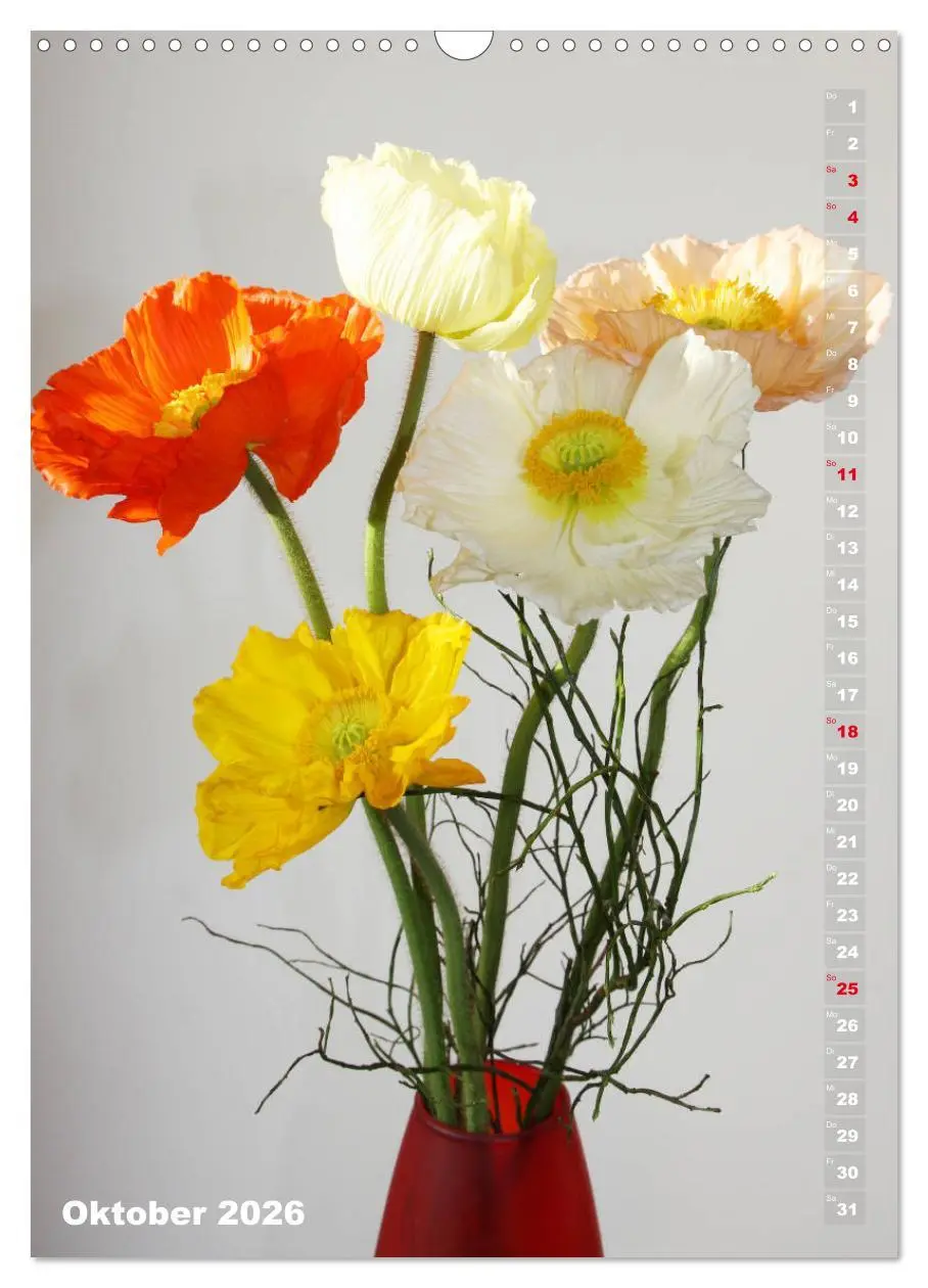 Bild: 9783516380903 | Mohn - Ein Blütentraum (Wandkalender 2026 DIN A3 hoch), CALVENDO...