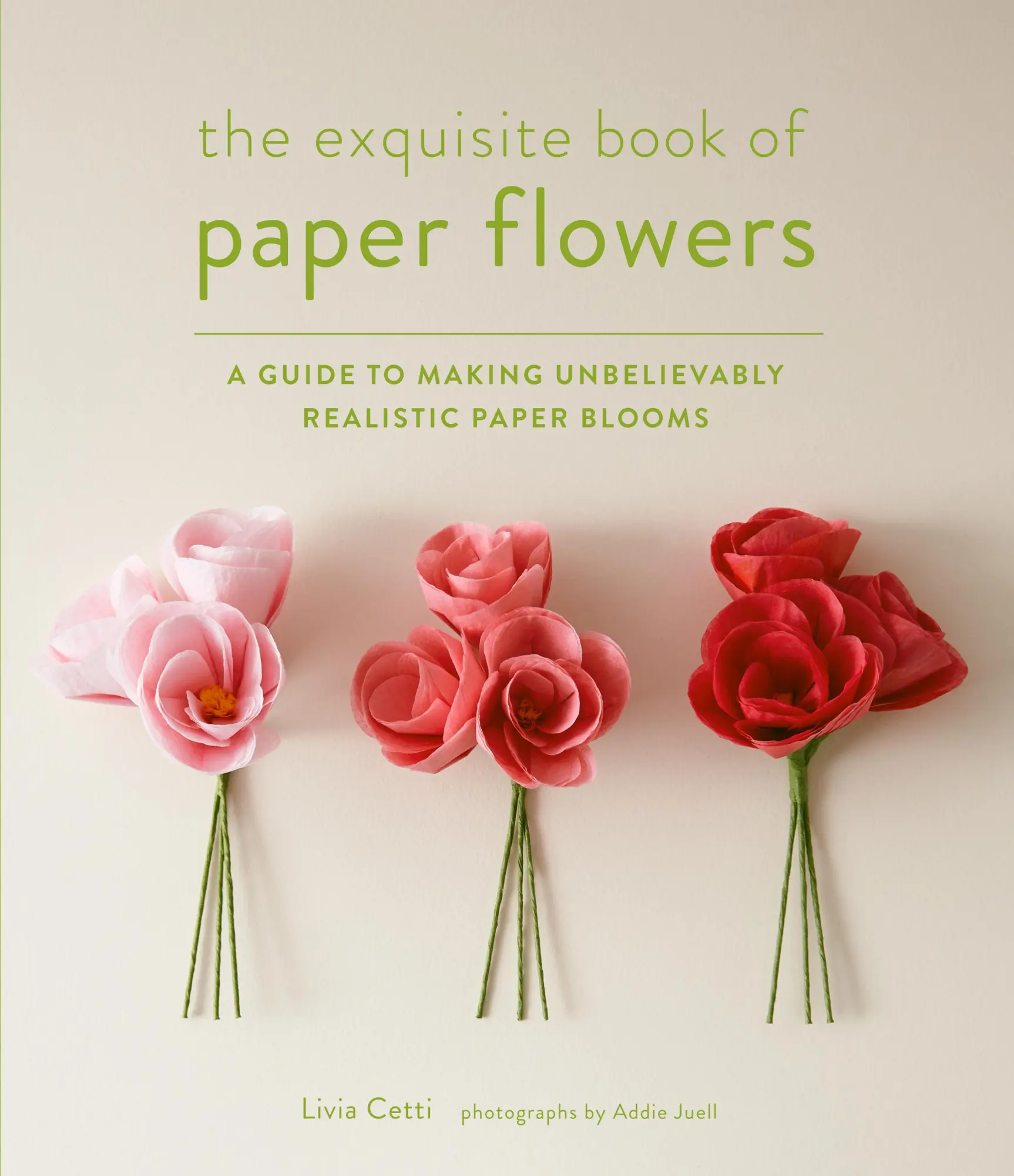 Cover: 9781617691003 | The Exquisite Book of Paper Flowers | Livia Cetti | Taschenbuch | 2014