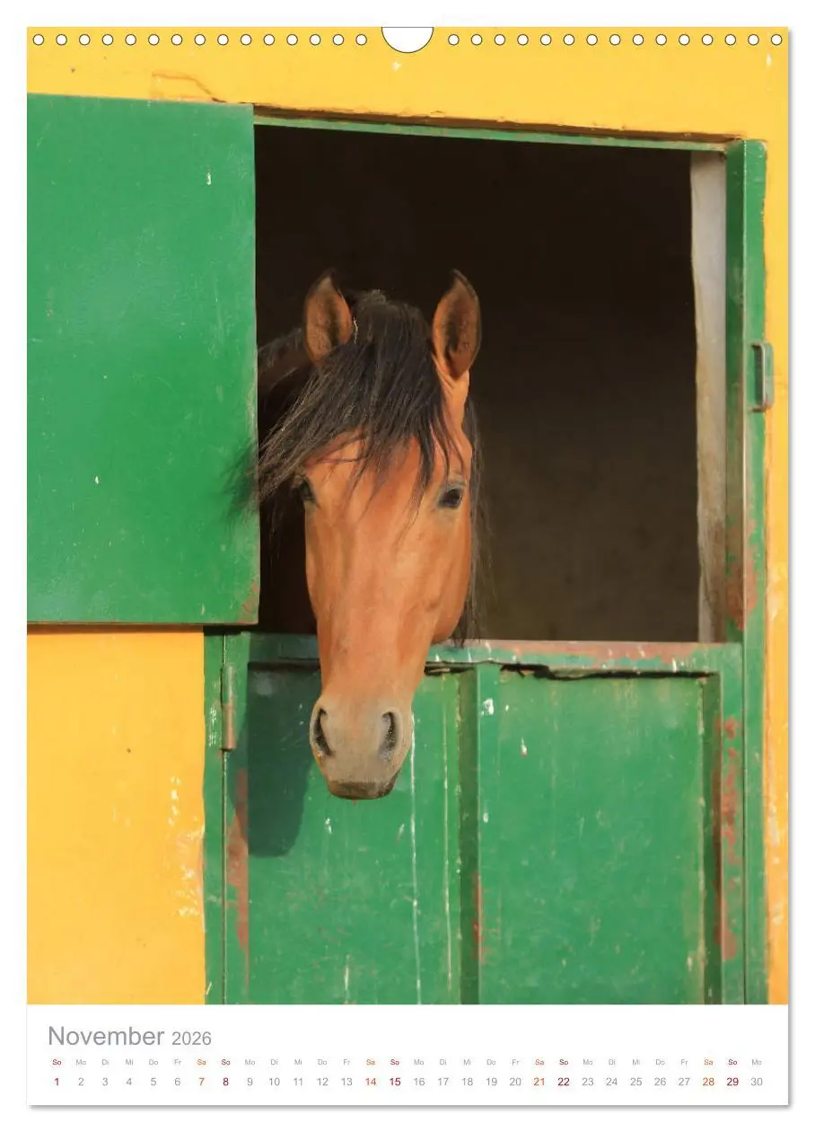 Bild: 9783516411003 | Caballos - Die schönen Pferde Spaniens (Wandkalender 2026 DIN A3...