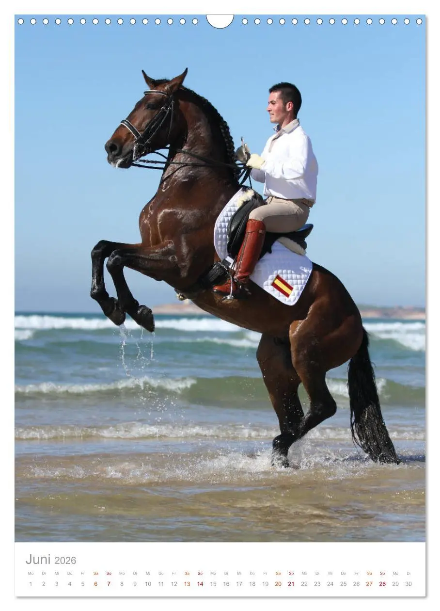 Bild: 9783516411003 | Caballos - Die schönen Pferde Spaniens (Wandkalender 2026 DIN A3...