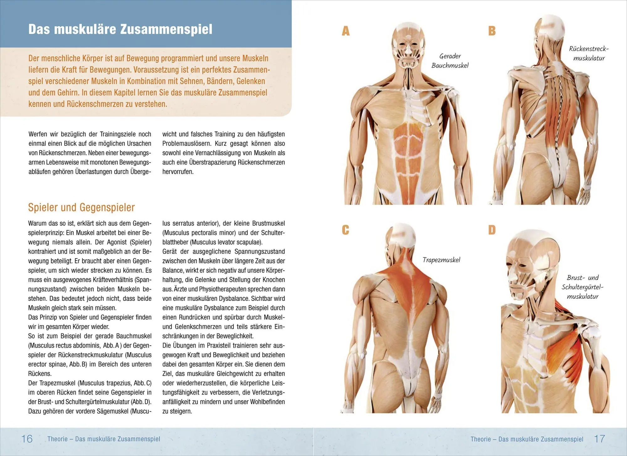 Bild: 9783957991003 | Rückentraining | Ronald Thomschke | Taschenbuch | 128 S. | Deutsch
