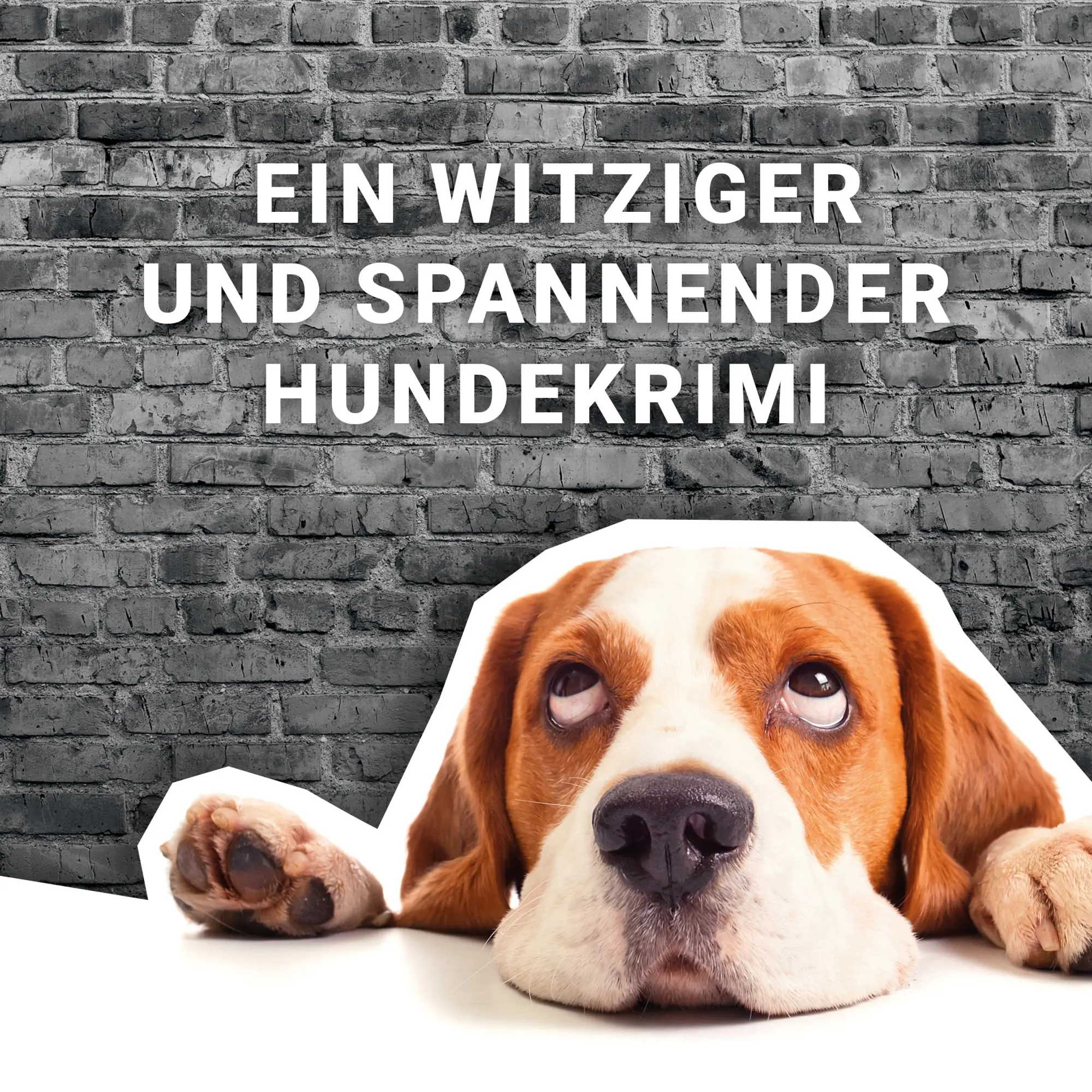 Bild: 9783986601003 | Ein Beagle kommt selten allein (Band 1) | Megan McGary | Taschenbuch