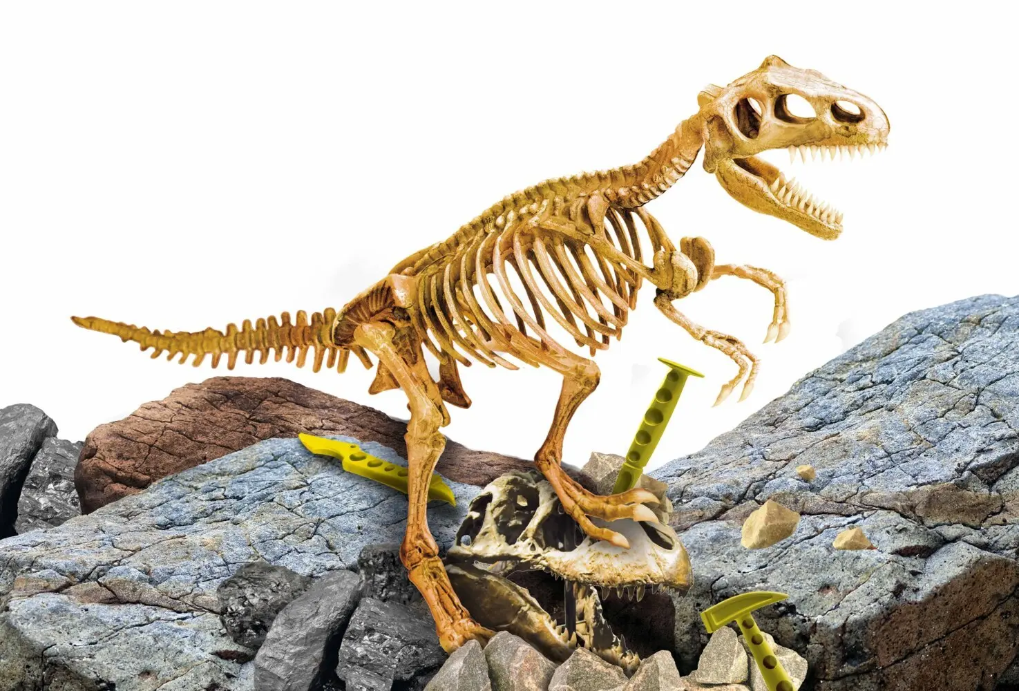 Bild: 8008324081103 | I'm a Genius Super Kit T-Rex (Experimentierkasten) | Spiel | 81103