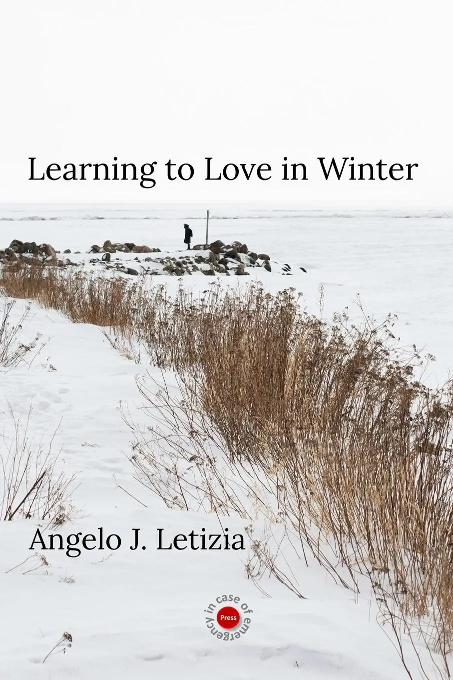Cover: 9780648611103 | Learning to Love in Winter | Angelo J. Letizia | Taschenbuch | 2024