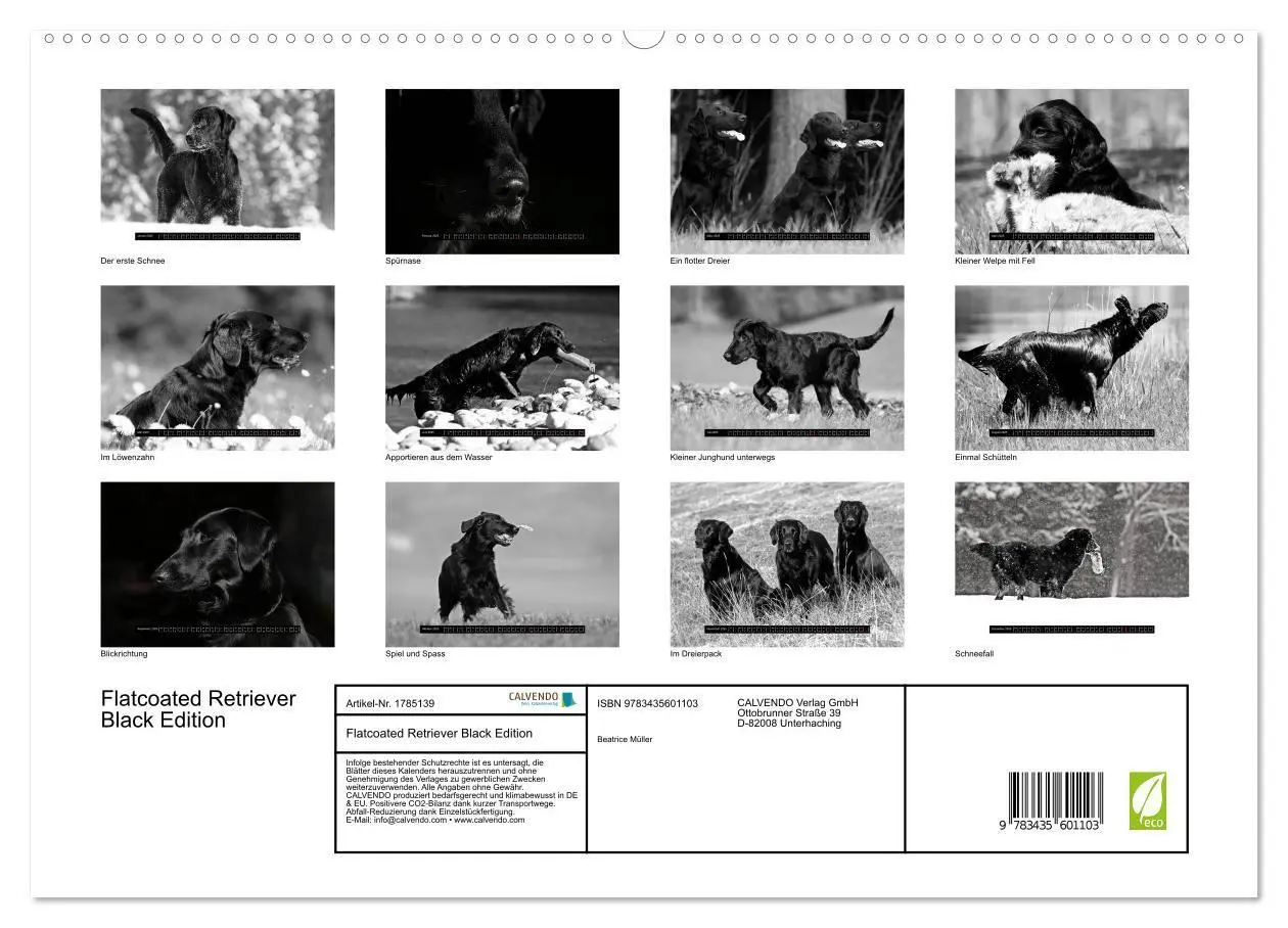 Bild: 9783435601103 | Flatcoated Retriever Black Edition (hochwertiger Premium...