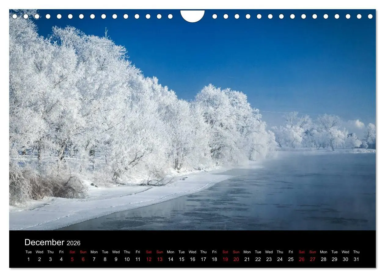 Bild: 9783516571103 | Niagara Falls 2026 (Wall Calendar 2026 DIN A4 landscape), CALVENDO...