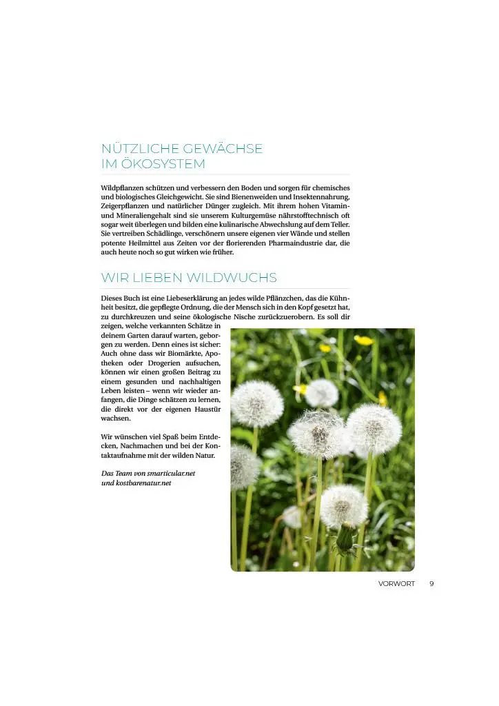 Bild: 9783910801103 | Geliebtes Unkraut | smarticular Verlag | Taschenbuch | Kostbare Natur