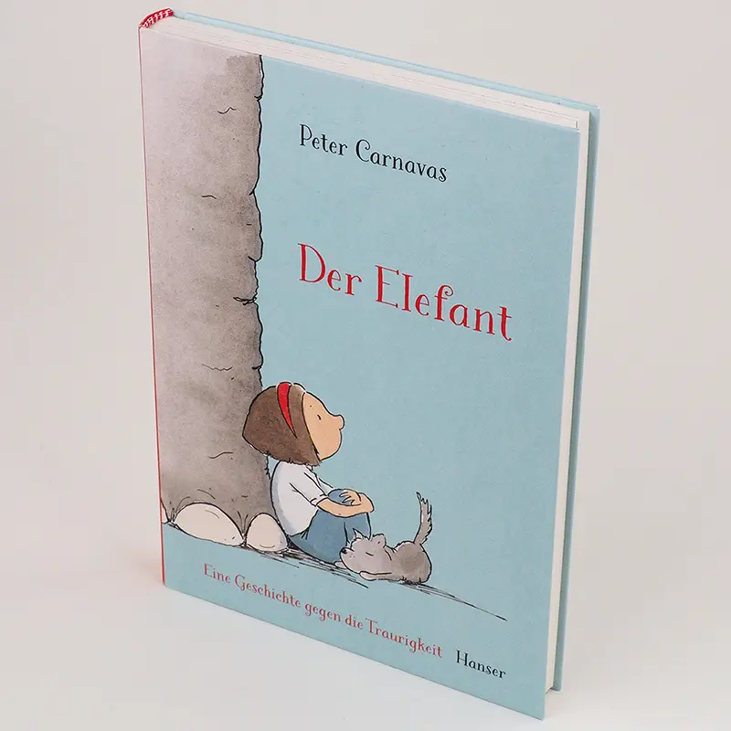 Bild: 9783446271203 | Der Elefant | Eine Geschichte gegen die Traurigkeit | Peter Carnavas