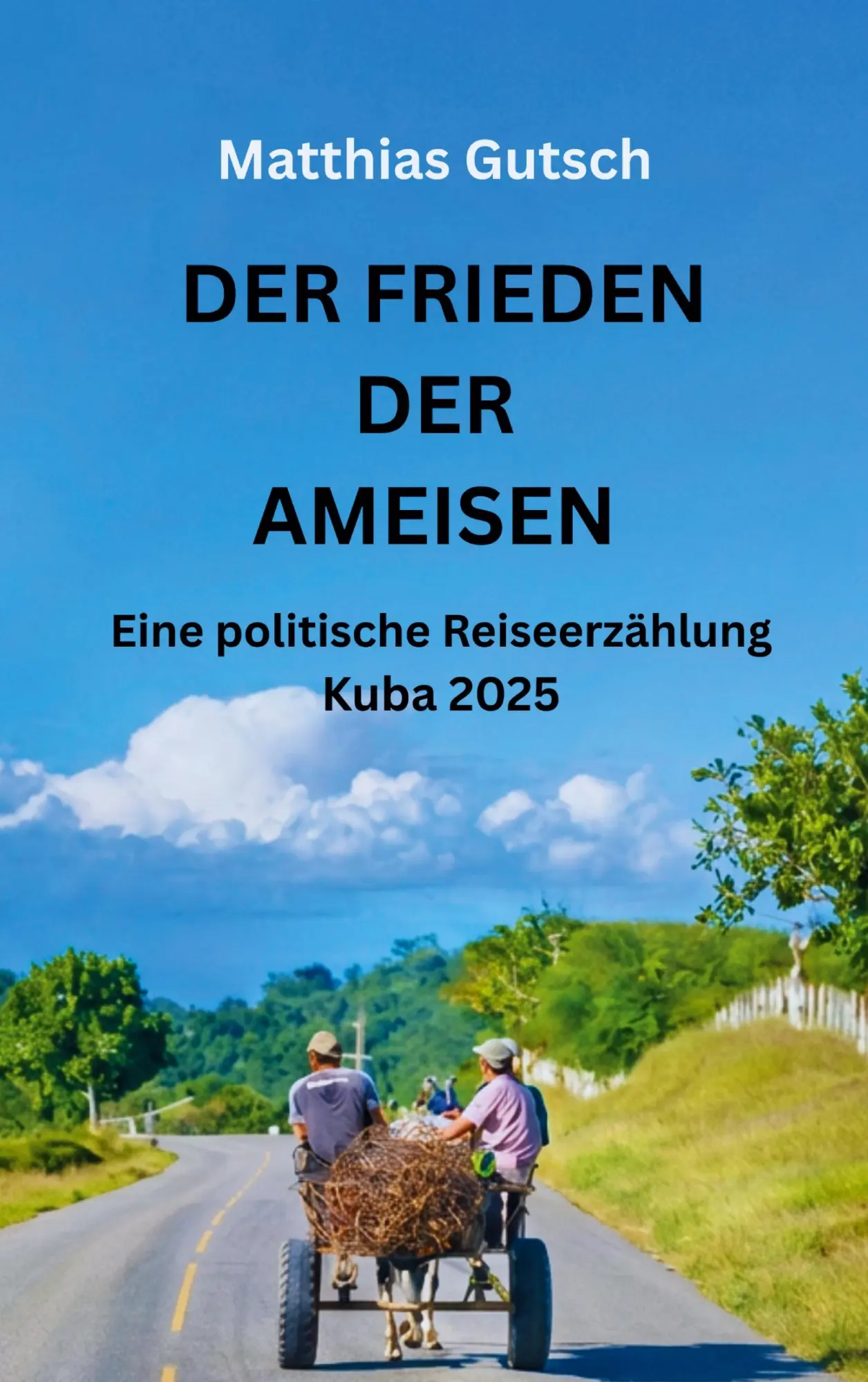 Cover: 9783696371203 | Der Frieden der Ameisen | Eine politische Reiseerzählung Kuba 2025