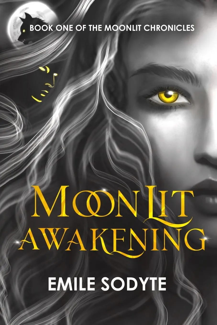Cover: 9788797611203 | Moonlit Awakening | Emile Sodyte | Taschenbuch | Englisch | 2025