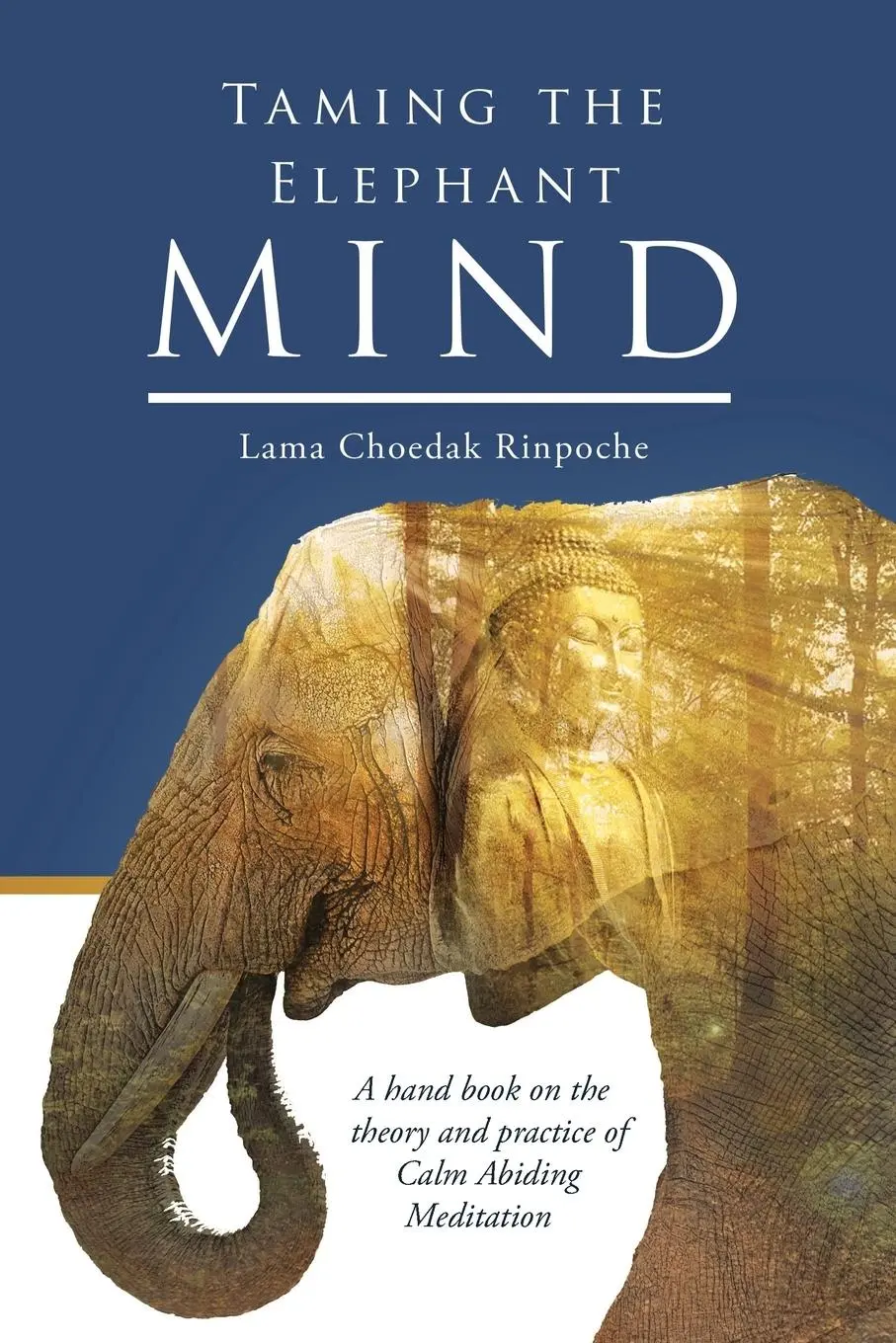 Cover: 9780994581303 | Taming the Elephant Mind | Lama Choedak Rinpoche | Taschenbuch | 2016
