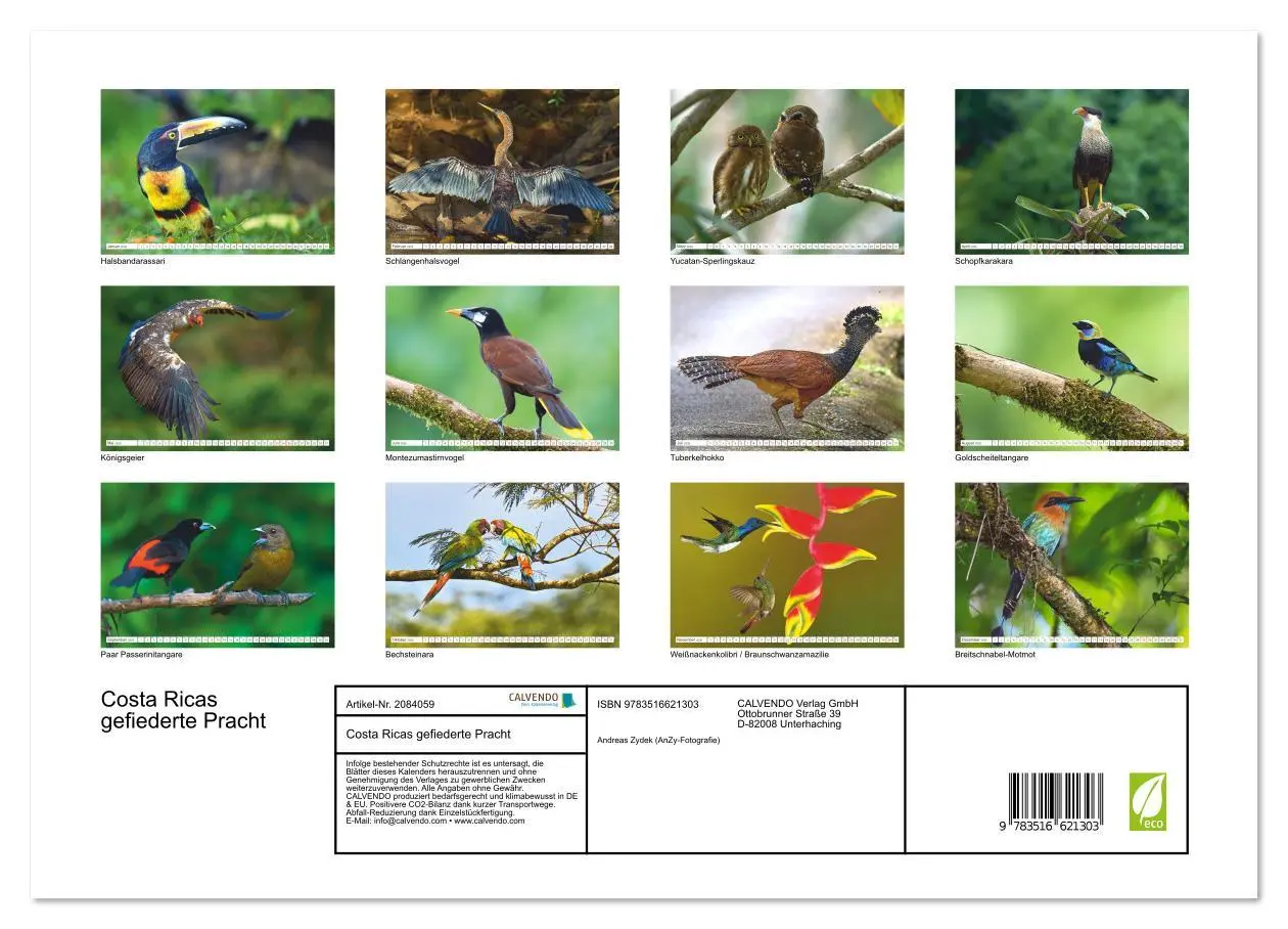 Bild: 9783516621303 | Costa Ricas gefiederte Pracht (Wandkalender 2026 DIN A3 quer),...