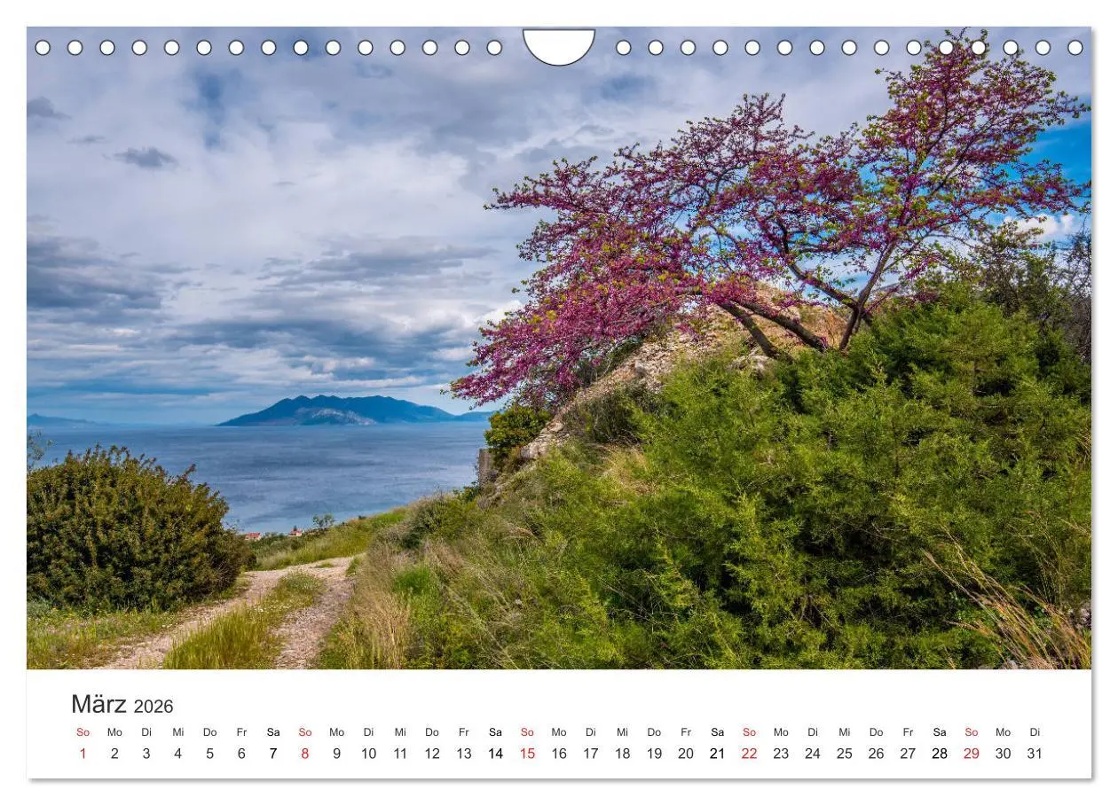 Bild: 9783457761403 | Vulkane 2026 (Wandkalender 2026 DIN A4 quer), CALVENDO Monatskalender