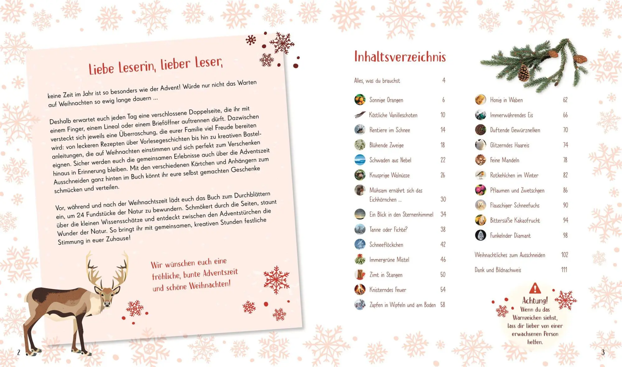 Bild: 9783831051403 | Wundervolle Welt. Adventskalender | Claudia Wagner (u. a.) | Buch