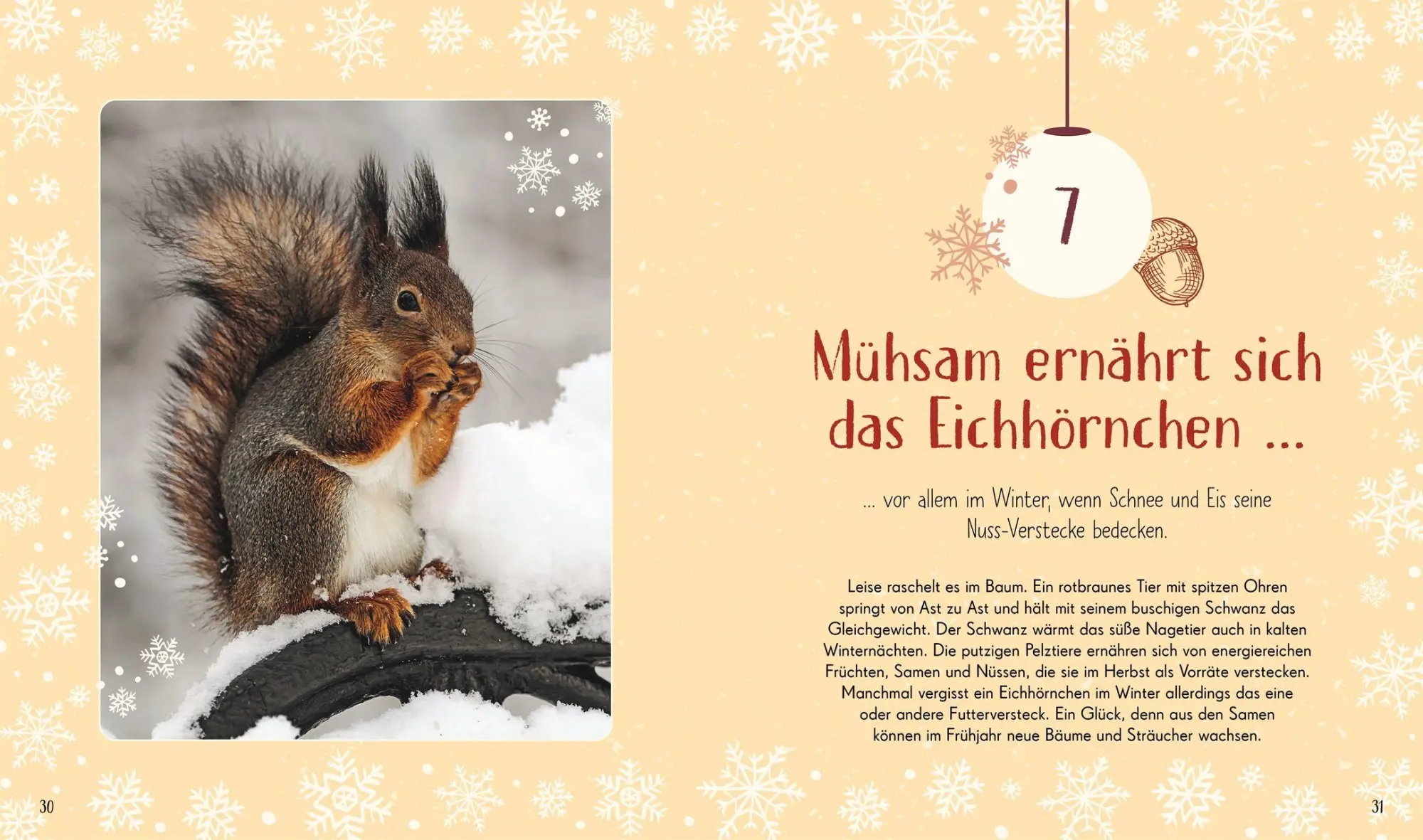 Bild: 9783831051403 | Wundervolle Welt. Adventskalender | Claudia Wagner (u. a.) | Buch