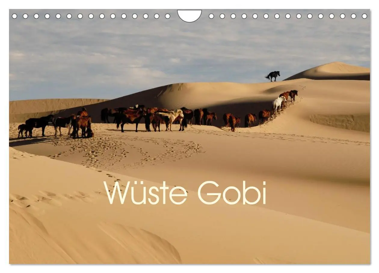 Cover: 9783435661503 | Wüste Gobi (Wandkalender 2025 DIN A4 quer), CALVENDO Monatskalender