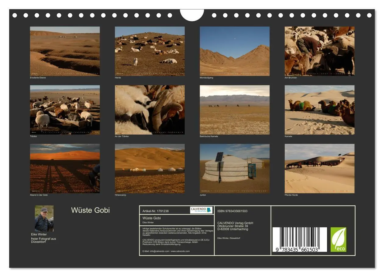 Bild: 9783435661503 | Wüste Gobi (Wandkalender 2025 DIN A4 quer), CALVENDO Monatskalender