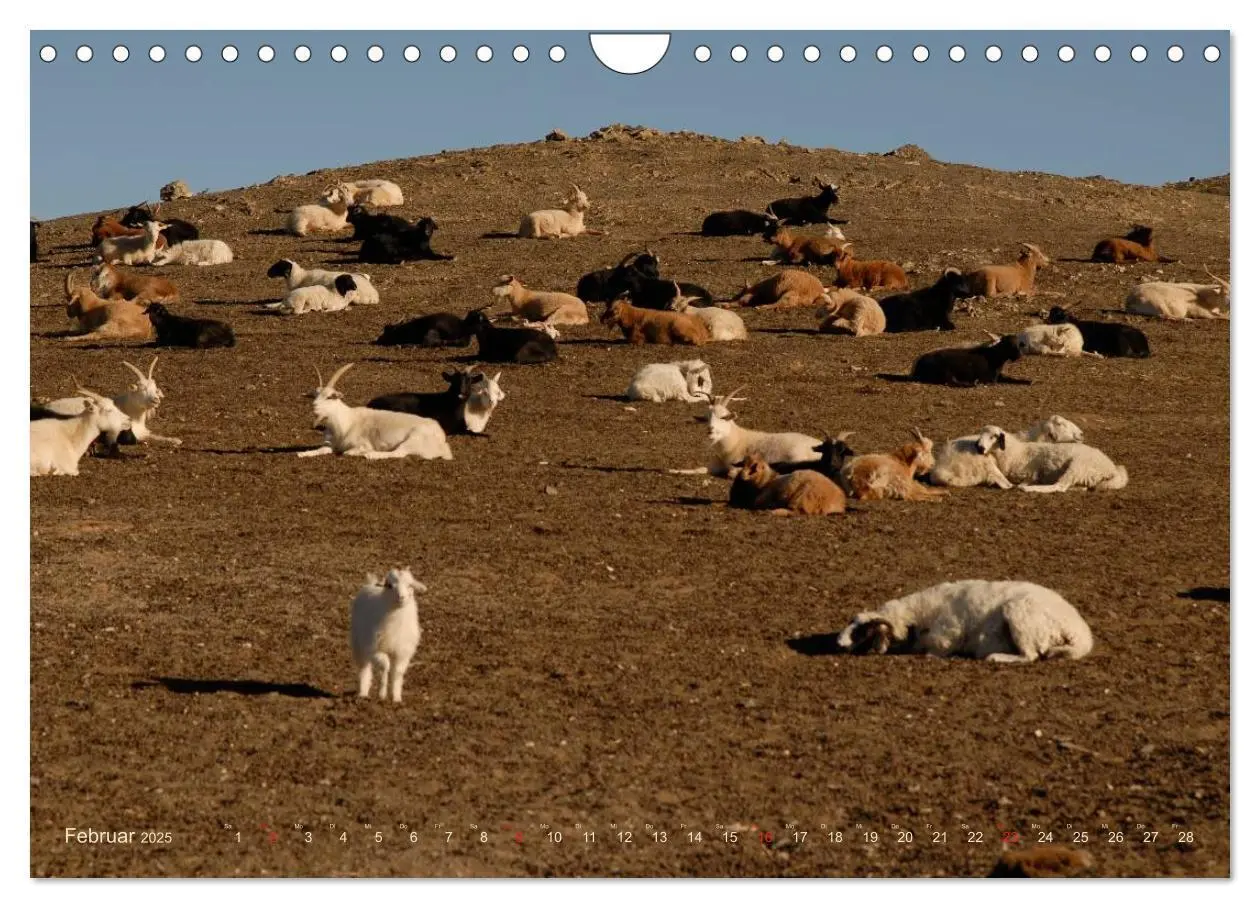 Bild: 9783435661503 | Wüste Gobi (Wandkalender 2025 DIN A4 quer), CALVENDO Monatskalender