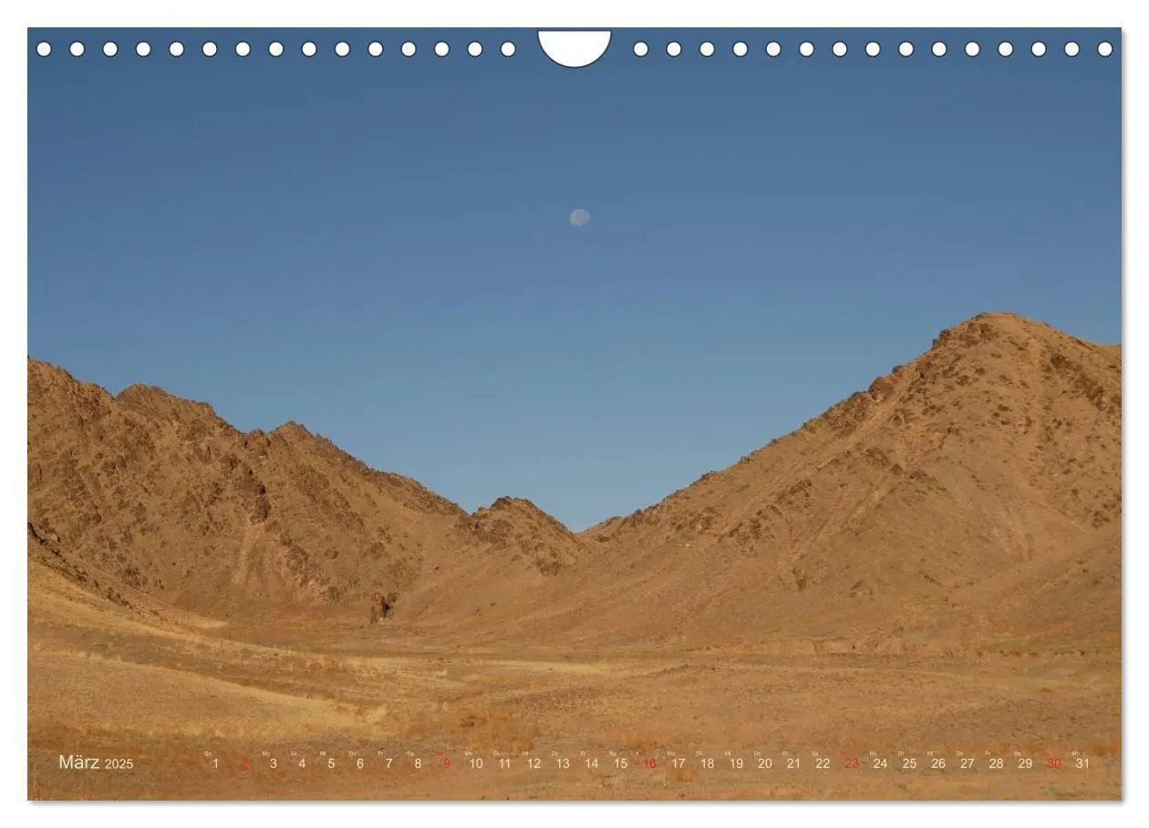 Bild: 9783435661503 | Wüste Gobi (Wandkalender 2025 DIN A4 quer), CALVENDO Monatskalender
