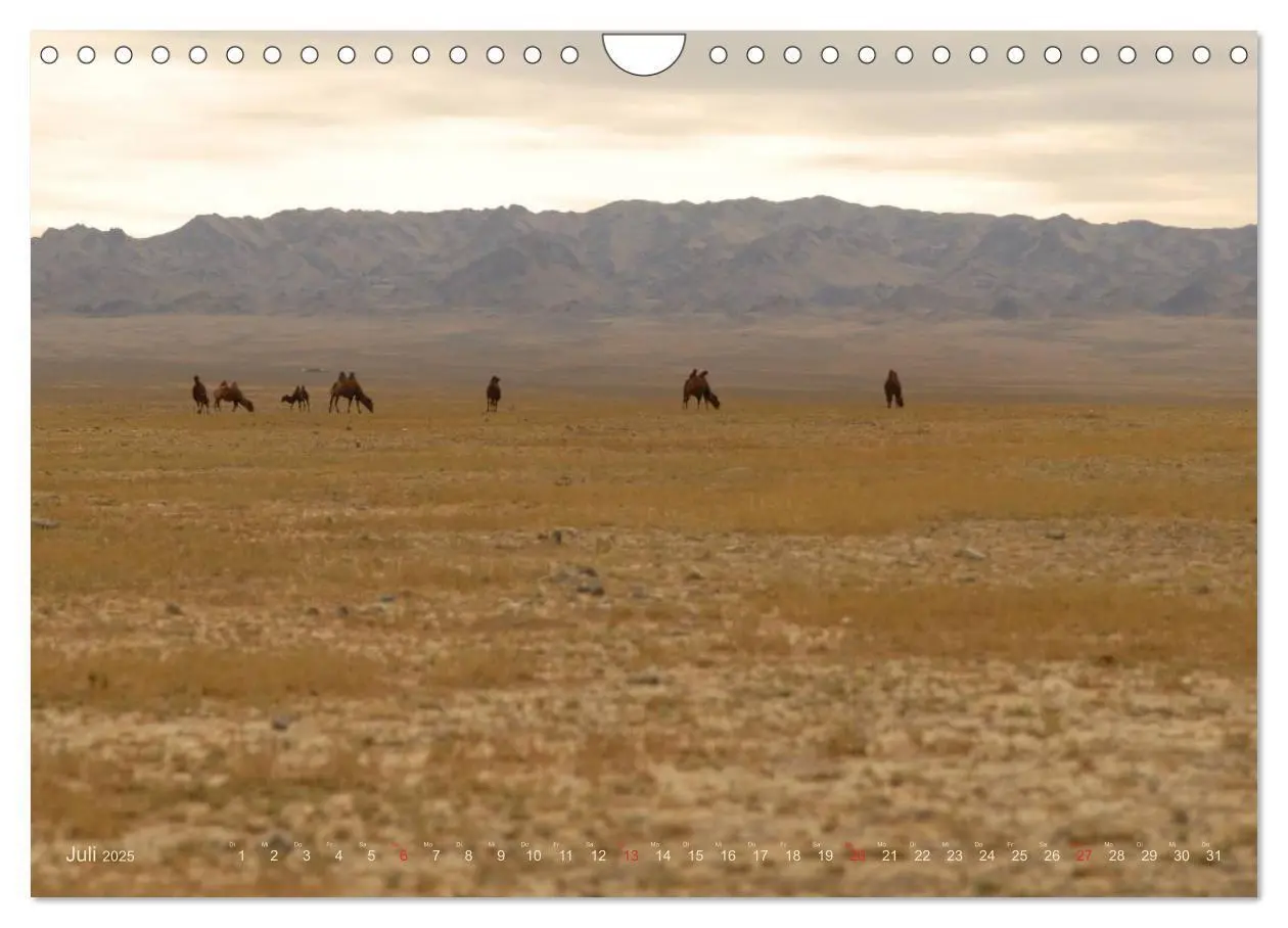 Bild: 9783435661503 | Wüste Gobi (Wandkalender 2025 DIN A4 quer), CALVENDO Monatskalender