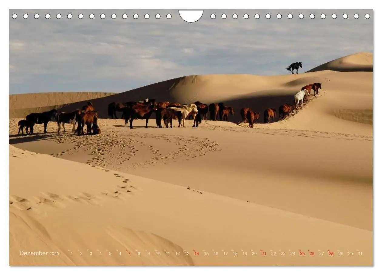 Bild: 9783435661503 | Wüste Gobi (Wandkalender 2025 DIN A4 quer), CALVENDO Monatskalender