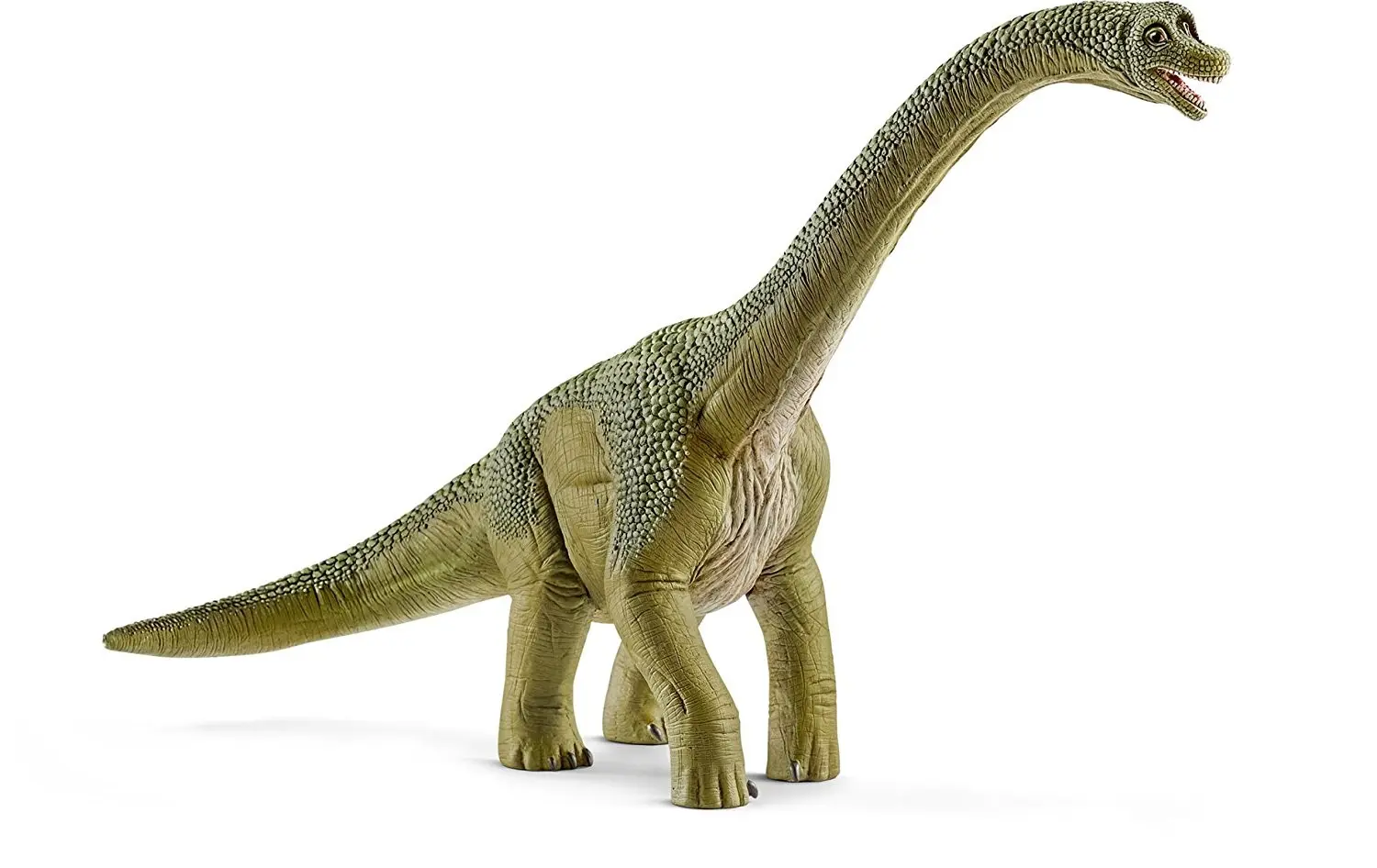 Cover: 4055744011603 | Schleich 14581 - Brachiosaurus Figur | Schleich® | Schleich | 14581