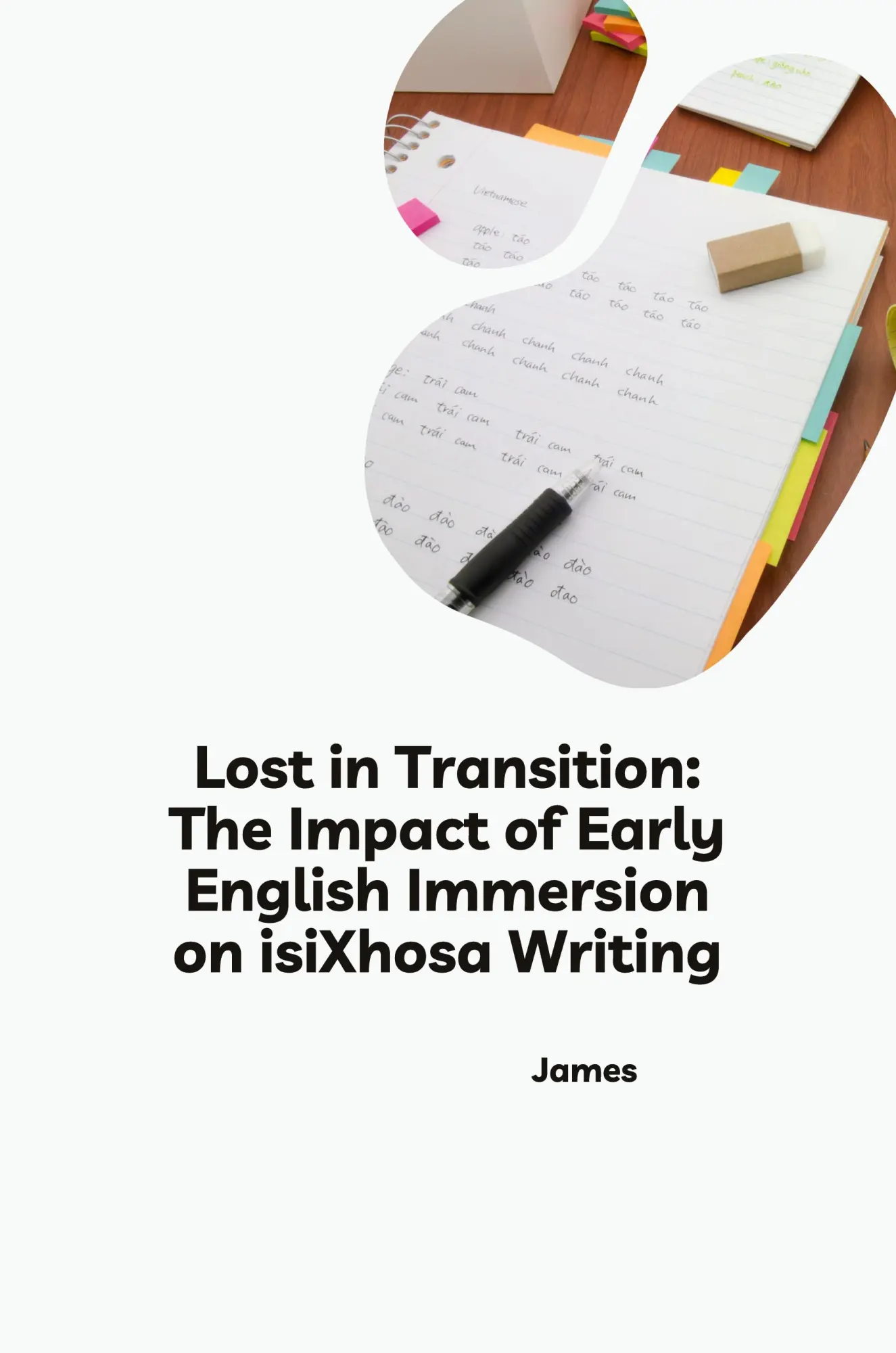 Lost in Transition The Impact of Early English Immersion on isiXhosa Writing - James Kartoniert (TB)