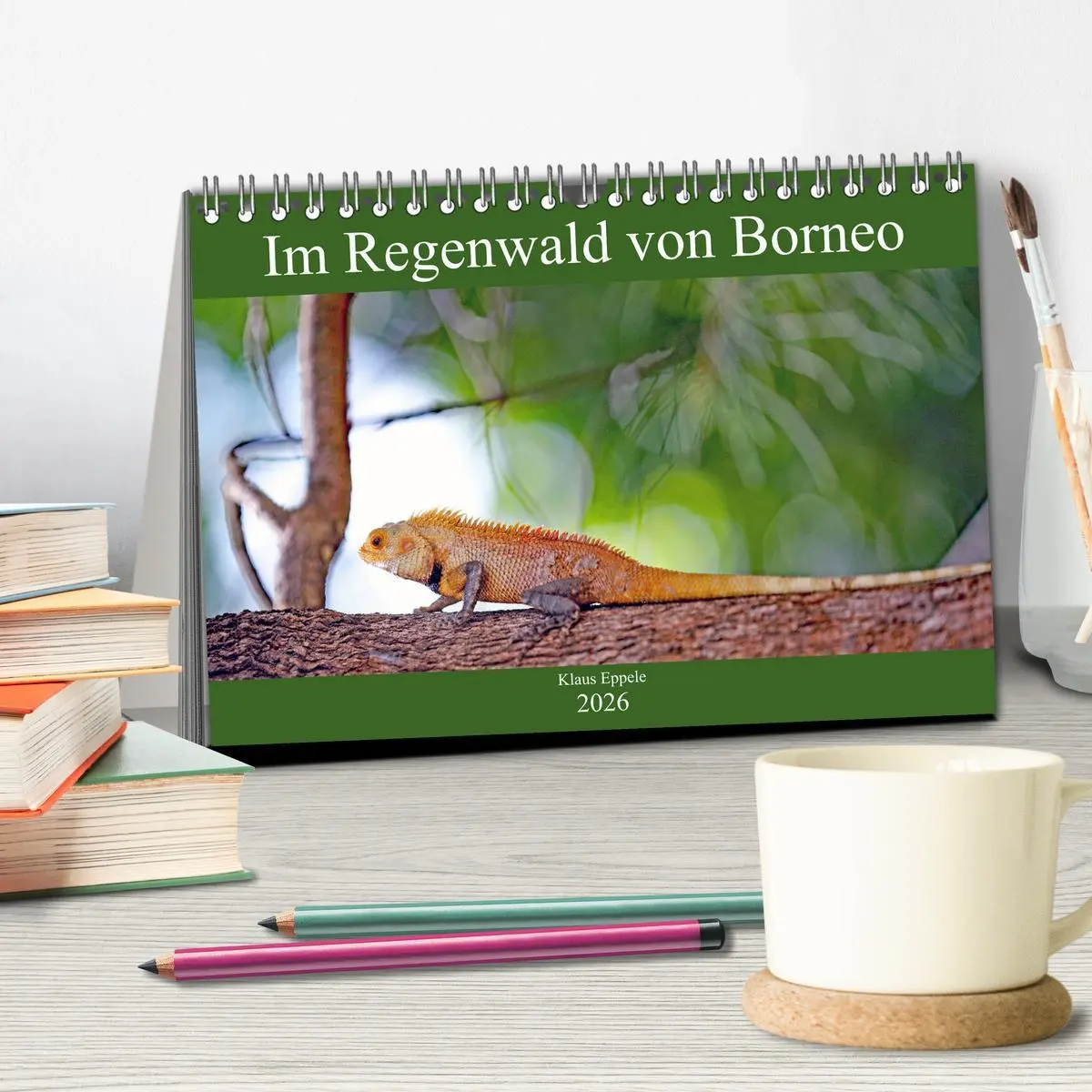Bild: 9783457741603 | Im Regenwald von Borneo (Tischkalender 2026 DIN A5 quer), CALVENDO...