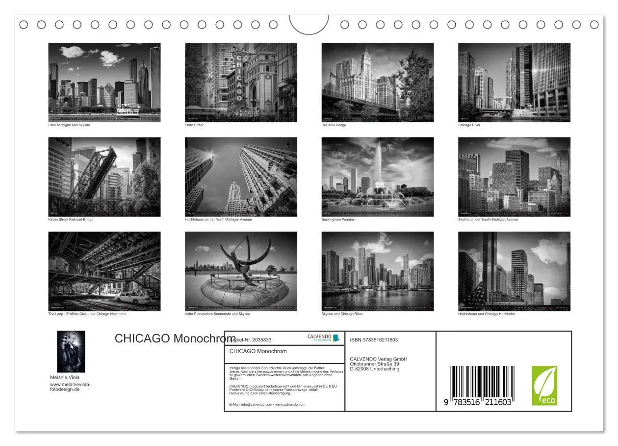 Bild: 9783516211603 | CHICAGO Monochrom (Wandkalender 2026 DIN A4 quer), CALVENDO...