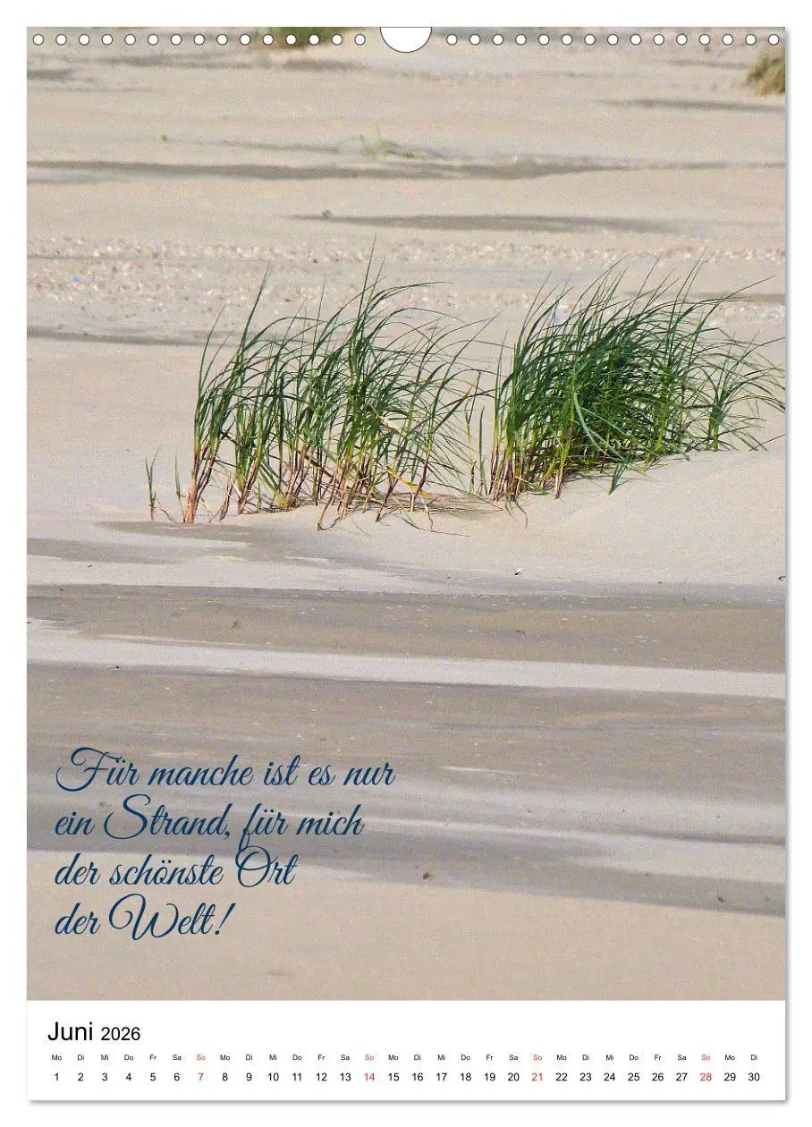 Bild: 9783516381603 | Facettenreiches Borkum (Wandkalender 2026 DIN A3 hoch), CALVENDO...