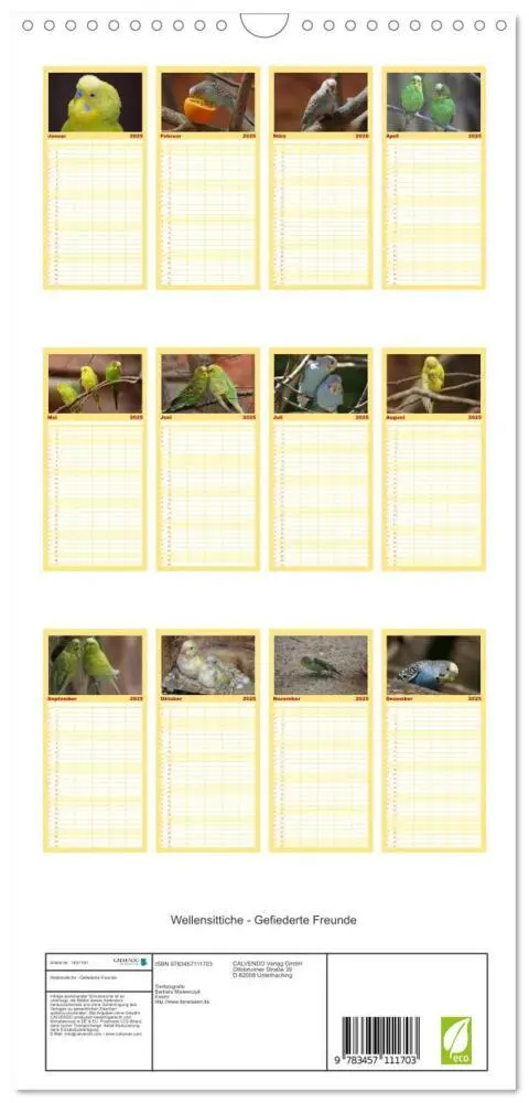 Bild: 9783457111703 | Familienplaner 2025 - Wellensittiche - Gefiederte Freunde mit 5...