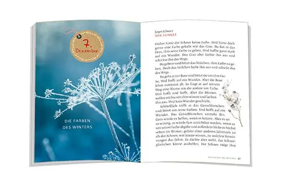 Bild: 9783987001703 | 24 Adventspausen | Ilka Osenberg- van Vugt | Buch | 160 S. | Deutsch