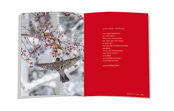 Bild: 9783987001703 | 24 Adventspausen | Ilka Osenberg- van Vugt | Buch | 160 S. | Deutsch