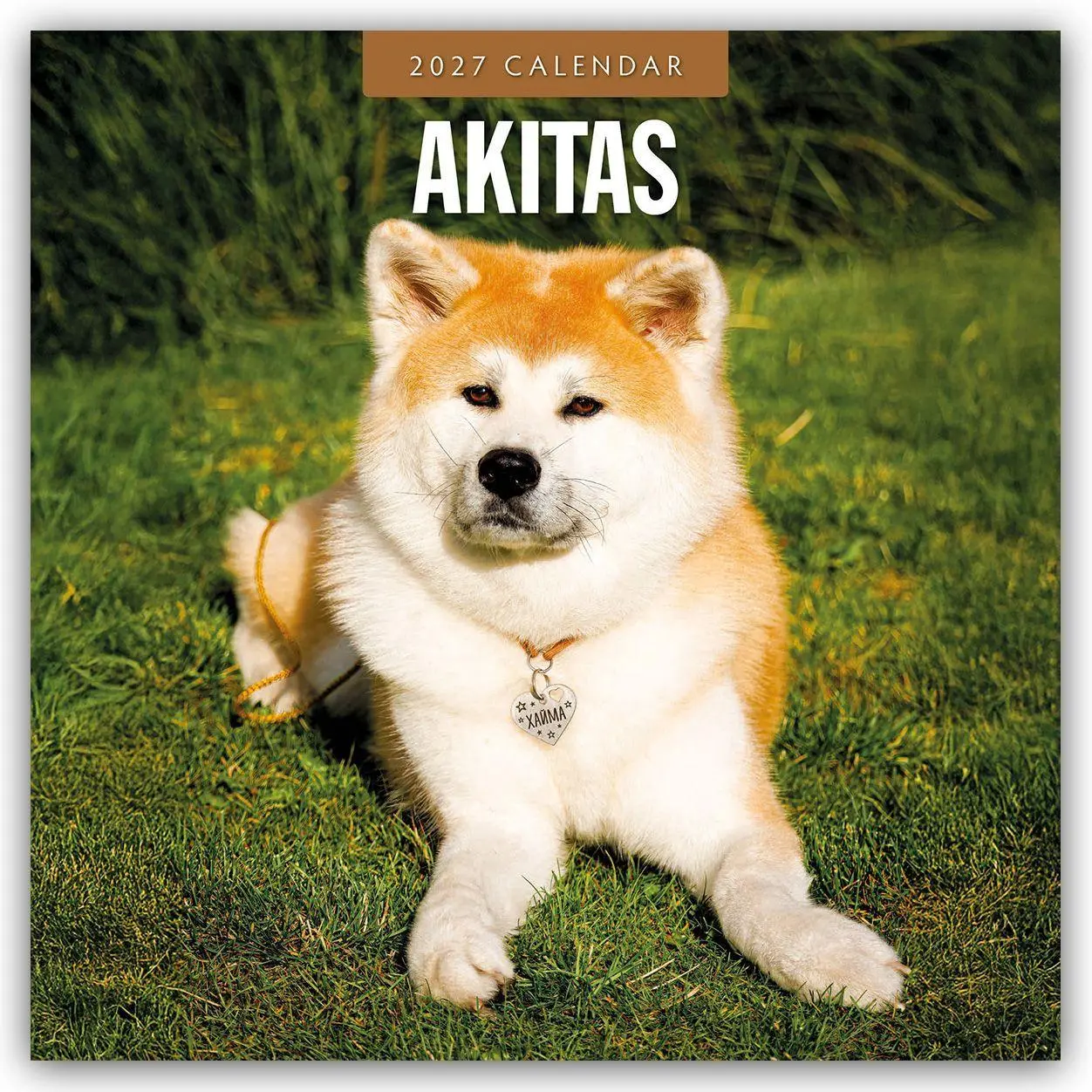 Cover: 9781837011803 | Akitas - Akita 2027 - 16-Monatskalender | Robin Red | Kalender | 28 S.
