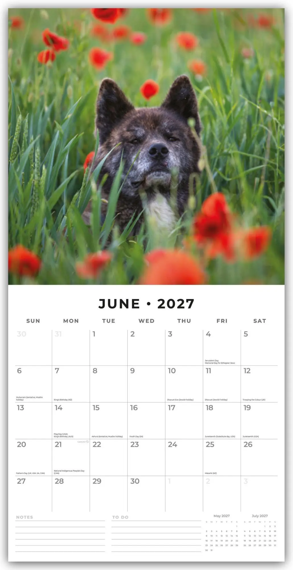 Bild: 9781837011803 | Akitas - Akita 2027 - 16-Monatskalender | Robin Red | Kalender | 28 S.