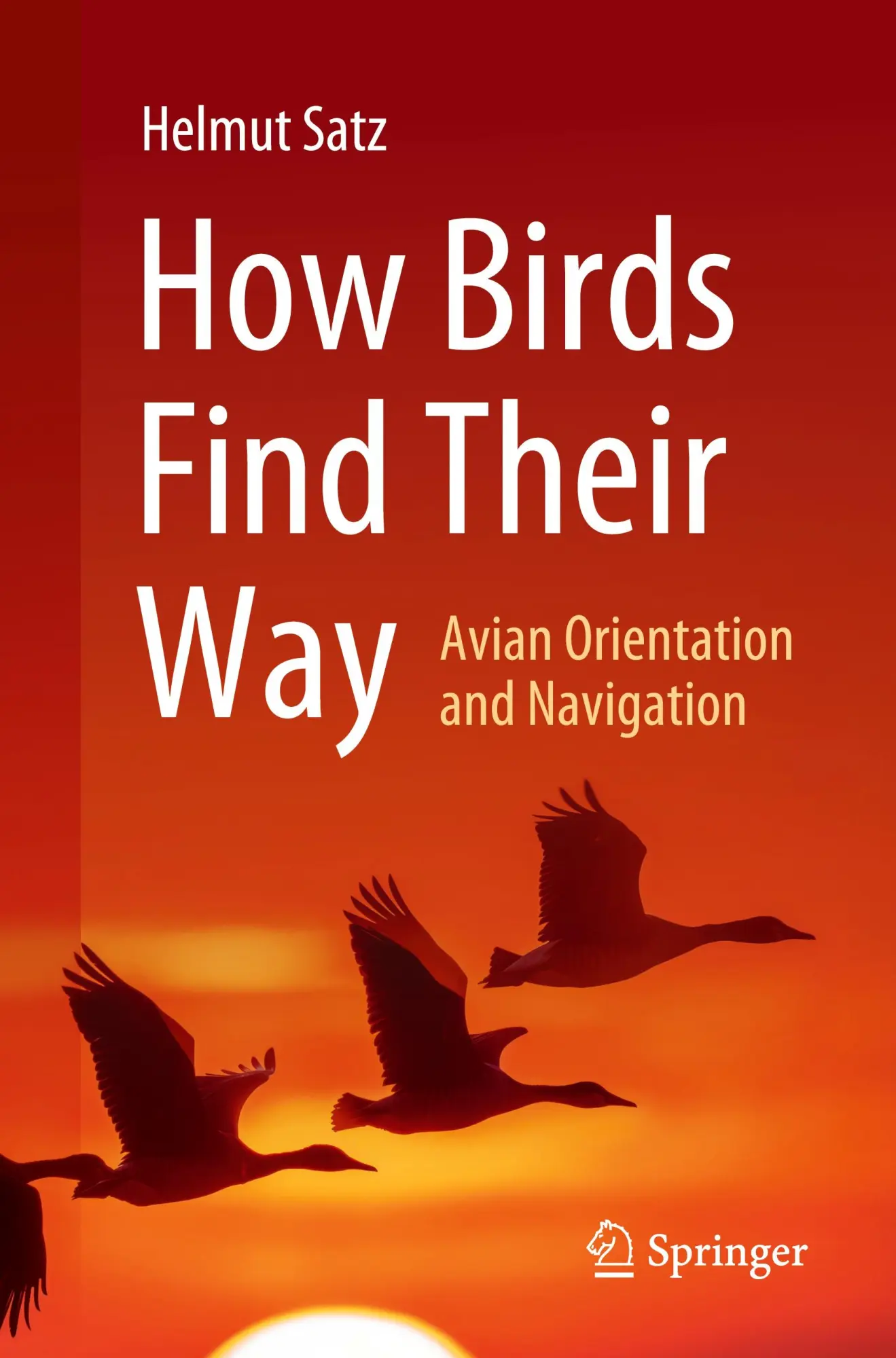 Cover: 9783031921803 | How Birds Find Their Way | Avian Orientation and Navigation | Satz