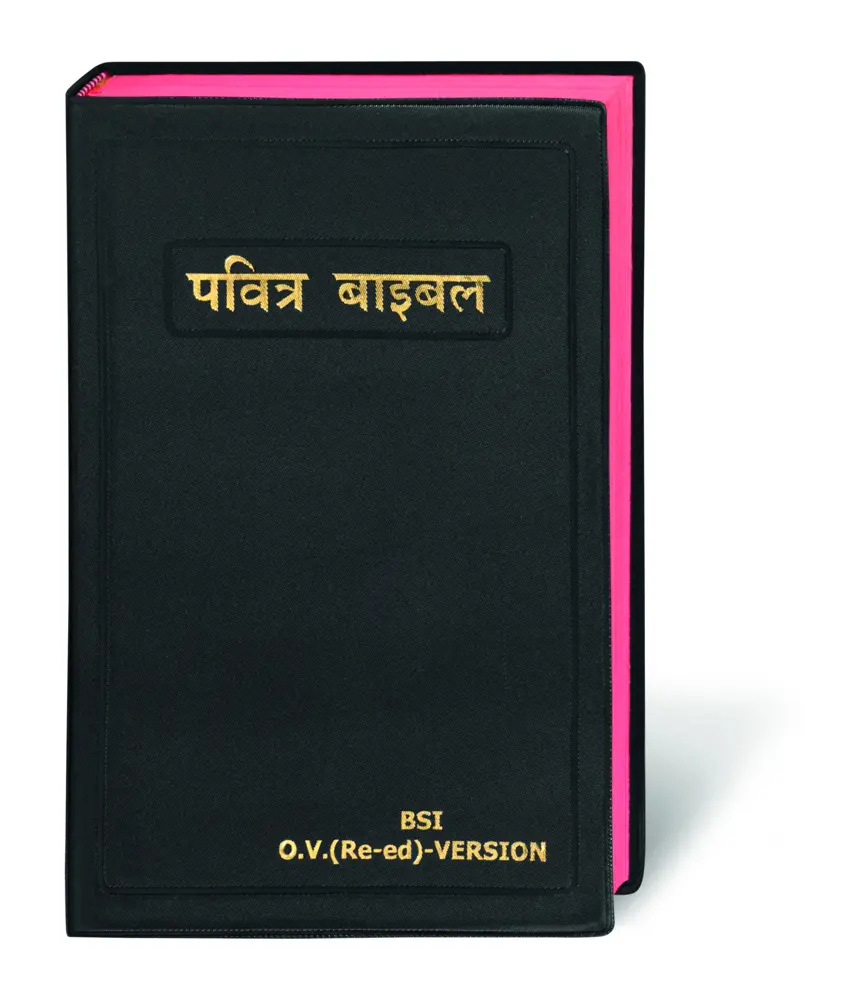 Cover: 9783438081803 | Bibel Hindi / Holy Bible Hindi, traditionelle Übersetzung | Buch