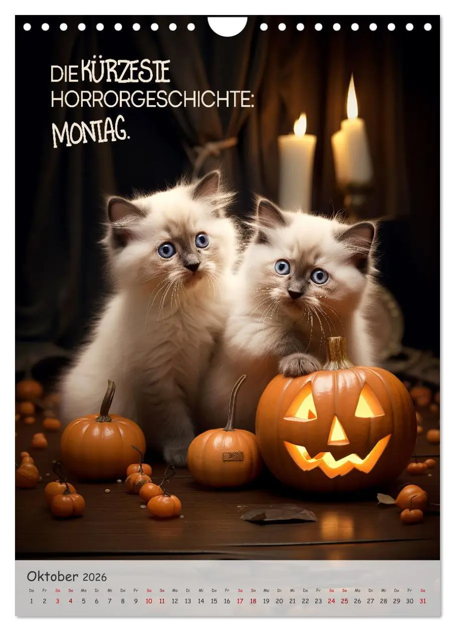 Bild: 9783516281903 | COOLE KATZEN Sprücheklopfer (Wandkalender 2026 DIN A4 hoch),...